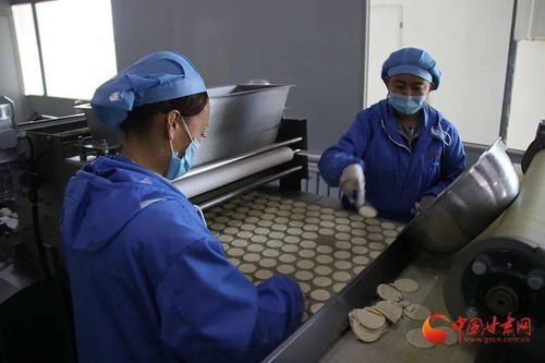 民乐 乡村 小工厂 解决增收致富 大民生