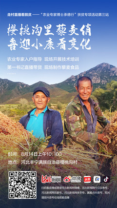 直播回放丨第一书记直播带货 河北丰宁特色农产品插上“云翅膀”