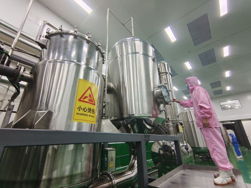 河北邱县 预制菜引领 味蕾经济 再升级
