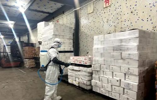 警惕 河北一地检出6份阳性冷冻肉 承德发布重要公告