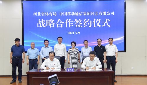 衡水新闻网