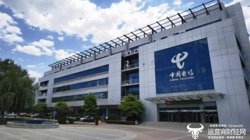河北电信人力资源部总经理郭金萍揭秘 2020年从部门副总经理提拔