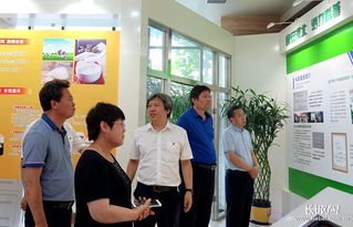 确保 舌尖上的安全 河北加大食品安全监管力度开门办案