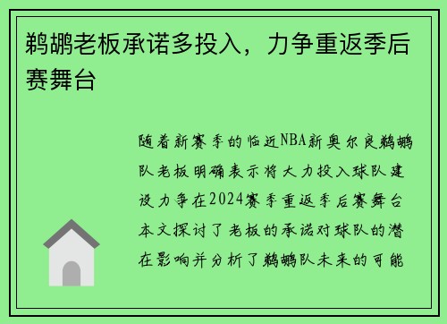 鹈鹕老板承诺多投入，力争重返季后赛舞台