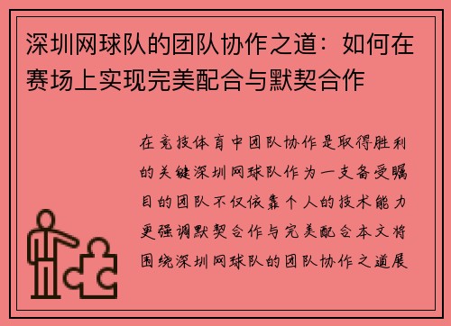 深圳网球队的团队协作之道：如何在赛场上实现完美配合与默契合作