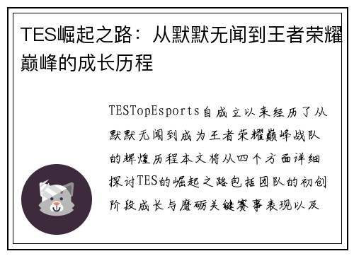 TES崛起之路：从默默无闻到王者荣耀巅峰的成长历程