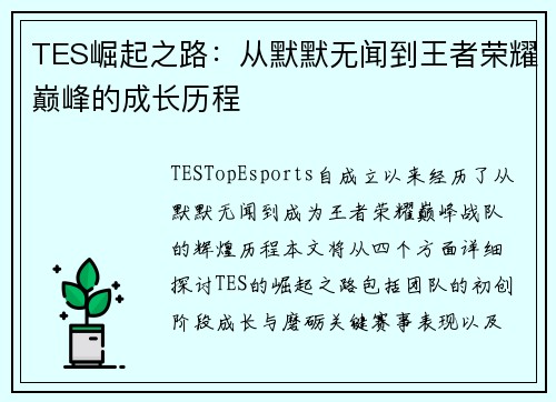 TES崛起之路：从默默无闻到王者荣耀巅峰的成长历程