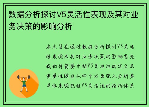 数据分析探讨V5灵活性表现及其对业务决策的影响分析