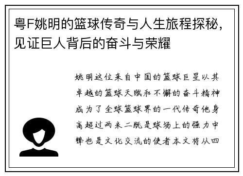 粤F姚明的篮球传奇与人生旅程探秘，见证巨人背后的奋斗与荣耀